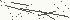 Anti Spam Image